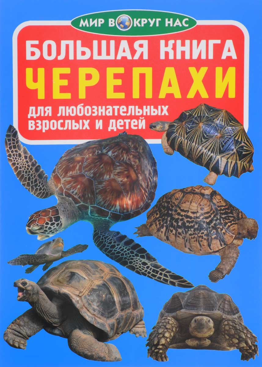 Архив новостей - Модельная библиотека №20 г. Уфы